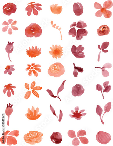 Set of watercolor floral elements isolated on white background. Loose watercolor technique.