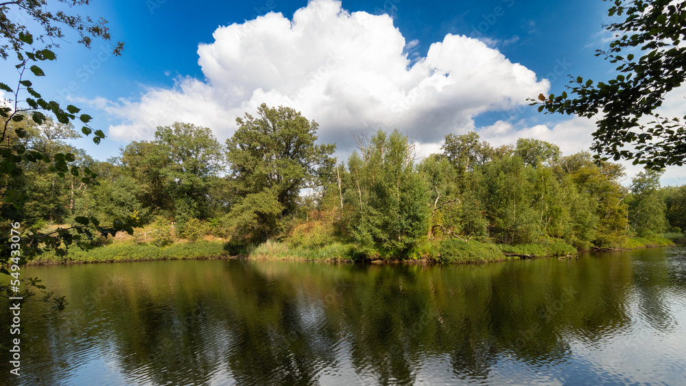 Fototapeta premium lake and trees