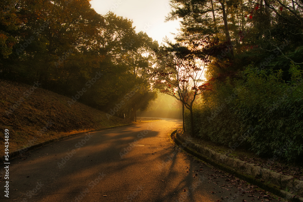 Naklejka premium 公園