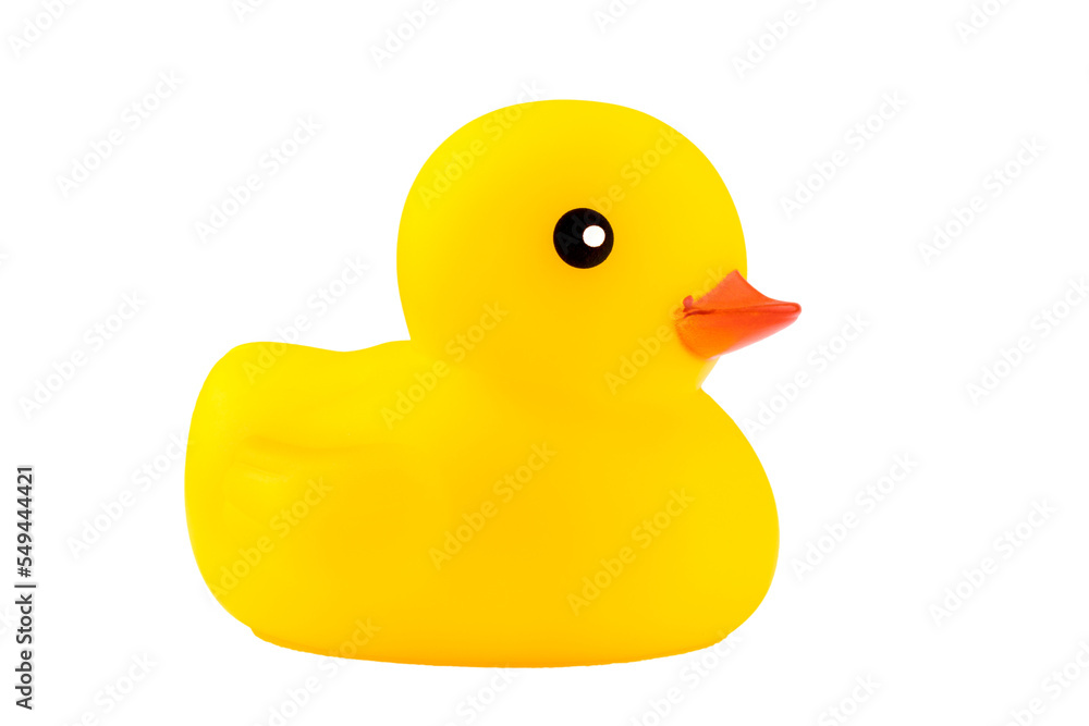 toy Yellow duck with Red beak, isolated toy Yellow duck with Red beak, isolated
