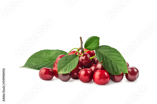 ripe cherry berries on a branch, isolate on a white background