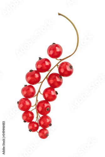 brush of red currant berries  isolate on a white background