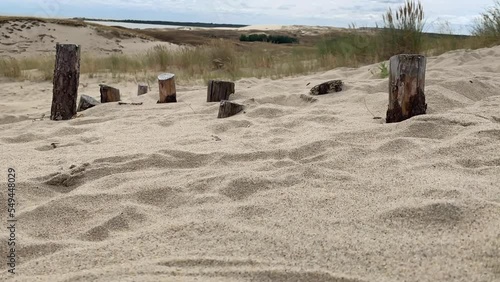 Time lapse of moving sand and grass on Parnidis sand dunes. It is one of the biggest moving sand dunes in Europe. Pardinis dunes are part of UNESCO world heritage site. Curonian Spit, Nida, Lithuania photo