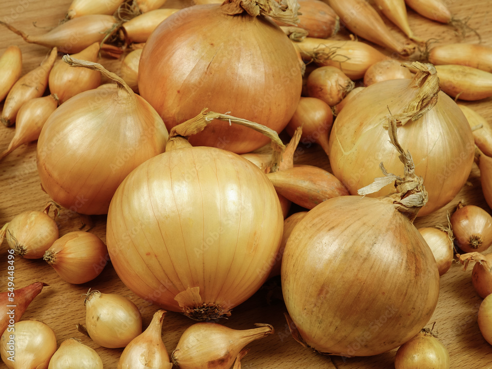Large bulbs of yellow onions and onion sets for planting and growing are arranged on a wooden board, natural background Large bulbs of yellow onions and onion sets for planting and growing are arranged on a wooden board, natural background