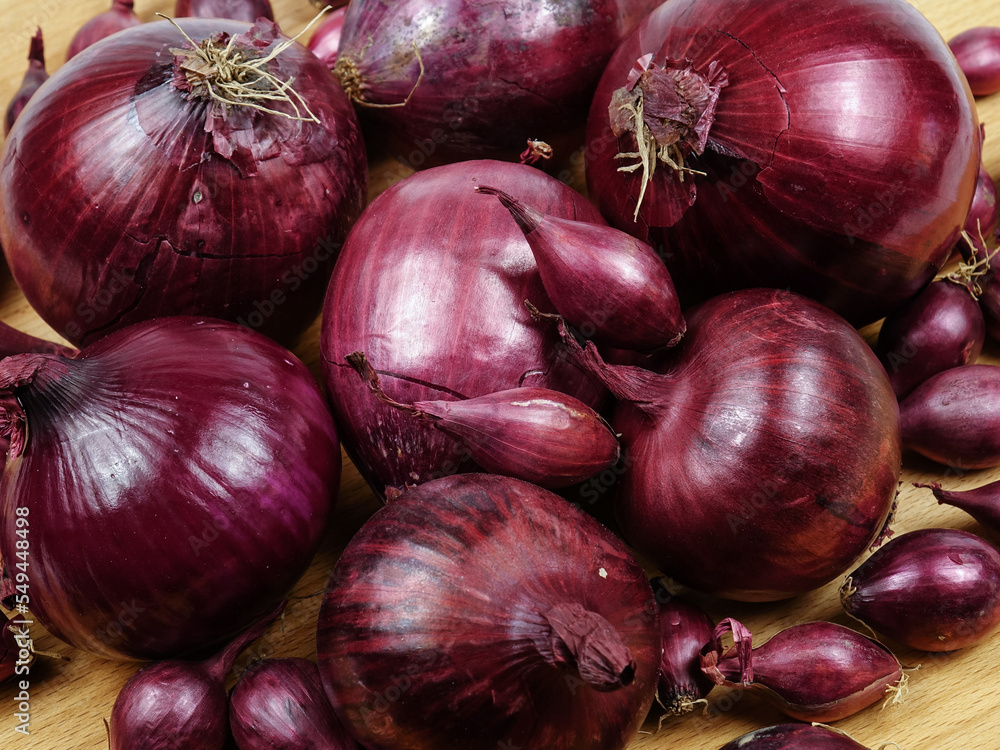 Large bulbs of red onions and onion sets for planting and growing are arranged on a wooden board, natural background Large bulbs of red onions and onion sets for planting and growing are arranged on a wooden board, natural background