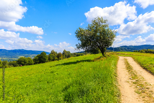 Fototapeta Naklejka Na Ścianę i Meble -  Countryside rural road in Beskidy Mountains on sunny summer day near Zywiec, Poland