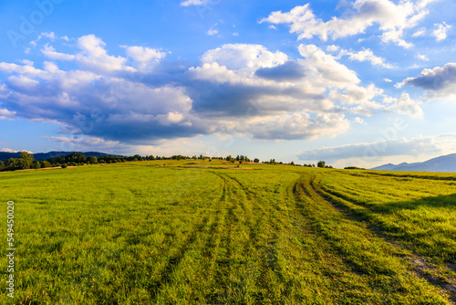 Green farming meadow in Beskidy Mountains at sunset near Zywiec , Poland