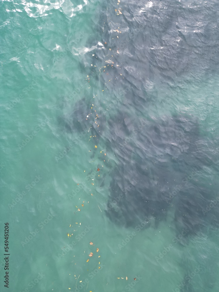 Obraz premium 海岸