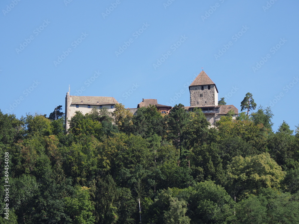 Hohenklingen castle in forest above Stein am Rhein town in Switzerland