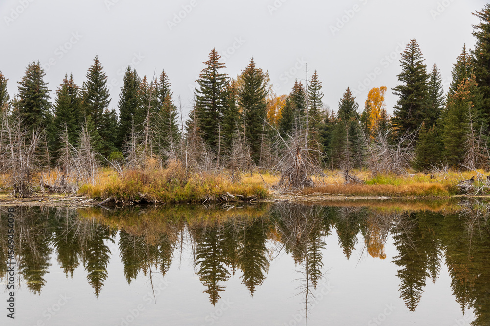 River near Grand Teton National Park. USA. River near Grand Teton National Park. USA.