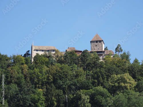 Hohenklingen castle in forest above Stein am Rhein town in Switzerland
