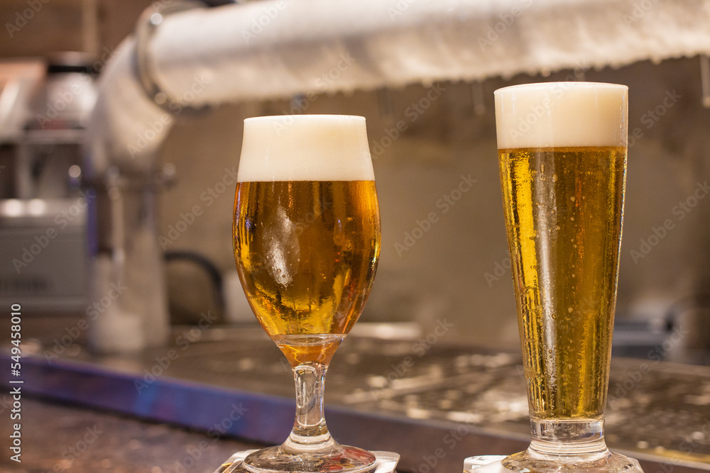 two glasses of cold and creamy beer on the counter of a lighted bar two glasses of cold and creamy beer on the counter of a lighted bar