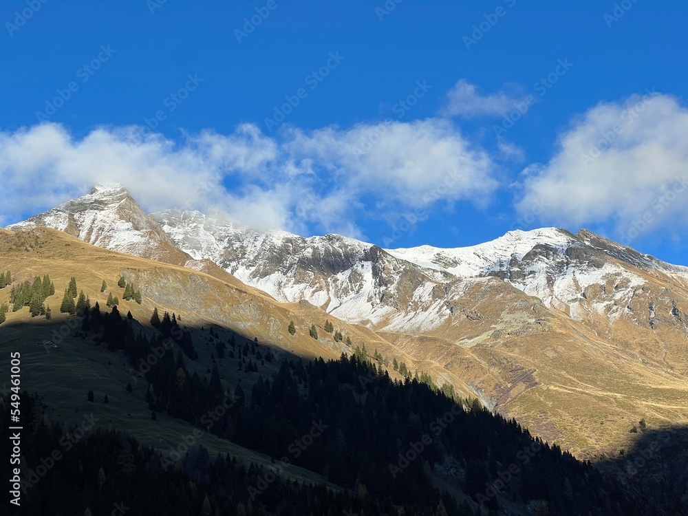High coniferous forests and autumn alpine pastures on the mountain tops above the Calfeisental valley (UNESCO World Heritage Tectonic Arena Sardona), Vättis - Switzerland (Schweiz)