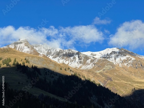 High coniferous forests and autumn alpine pastures on the mountain tops above the Calfeisental valley (UNESCO World Heritage Tectonic Arena Sardona), Vättis - Switzerland (Schweiz)