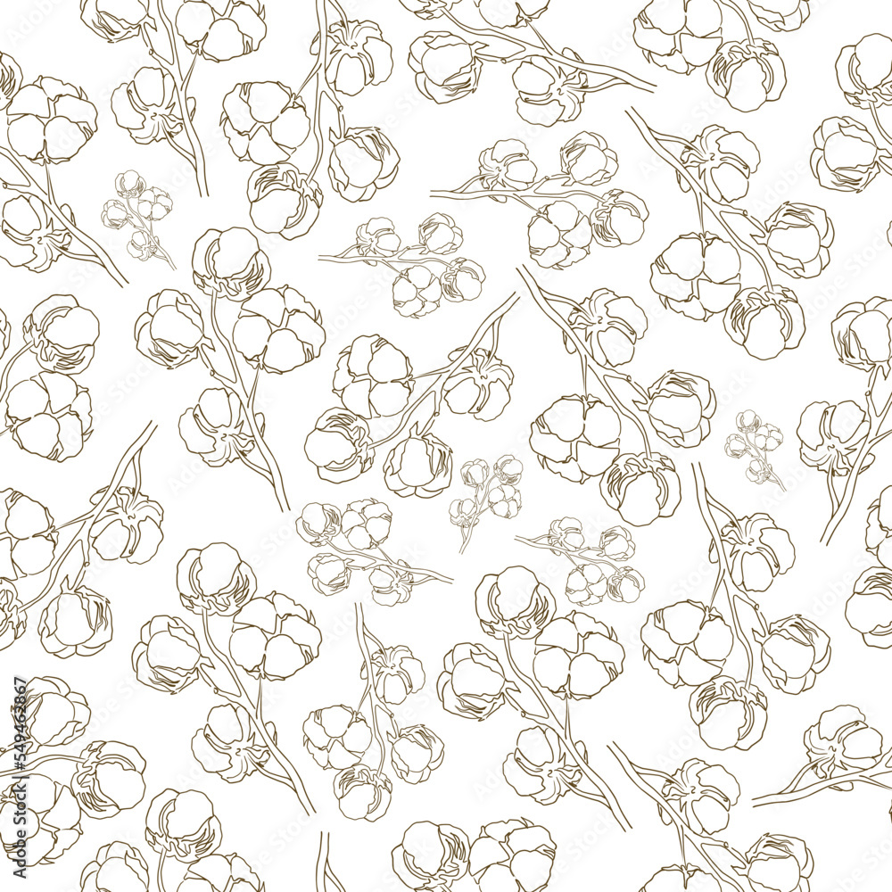 hand drawn cotton branch. brown linear art. seamless pattern on a white background