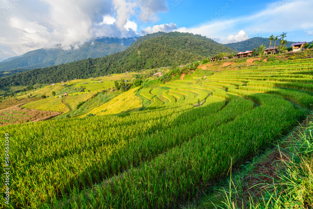 Landscape of Pa Pong Piang Rice Terraces with homestay on mountain