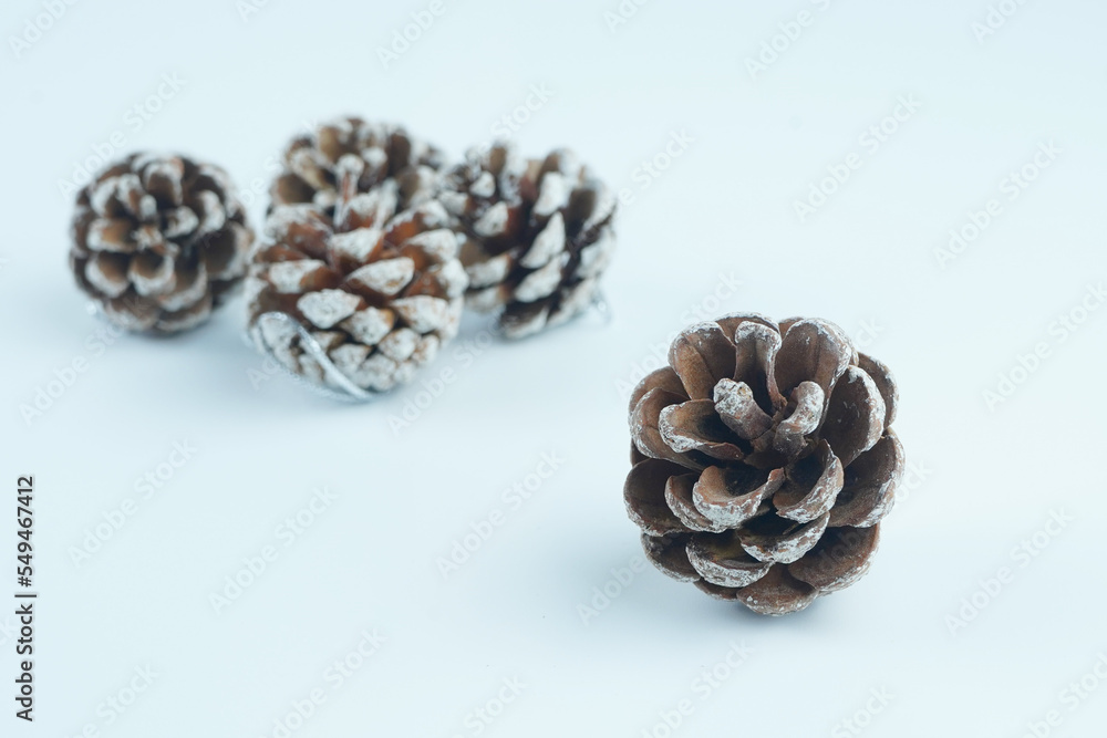 Decorational pine cones covered with artificial snow, isolated Decorational pine cones covered with artificial snow, isolated