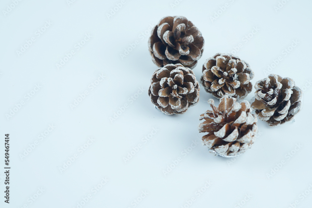 Decorational pine cones covered with artificial snow, isolated Decorational pine cones covered with artificial snow, isolated