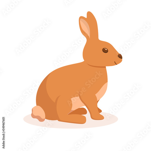 Cute little bunny sitting. Colorful rabbit