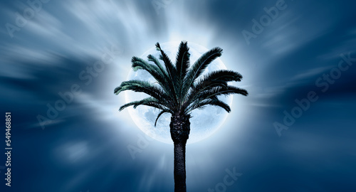 Full moon in sky with palm trees "Elements of this image furnished by NASA" © muratart