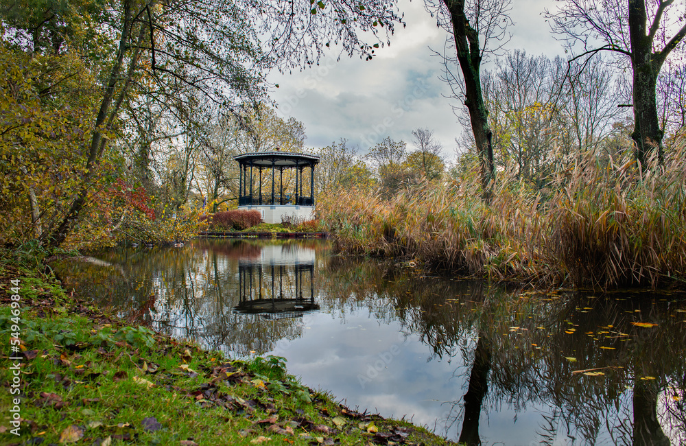Vondelpark autumn trees and water background