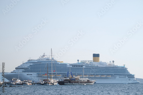 Large cruise ship in the harbor on the horizon on the water © Tatonka