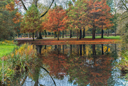 Vondelpark autumn trees and water background