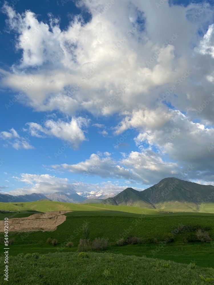 Fototapeta premium Nature 