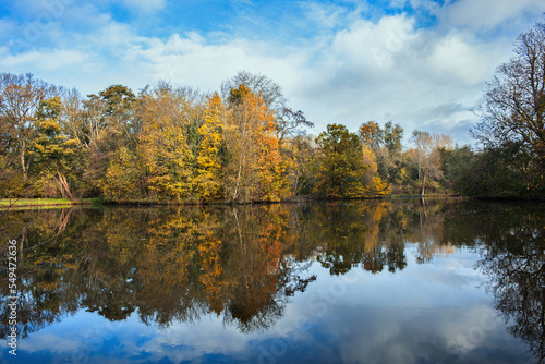 Vondelpark autumn trees and water background © layue