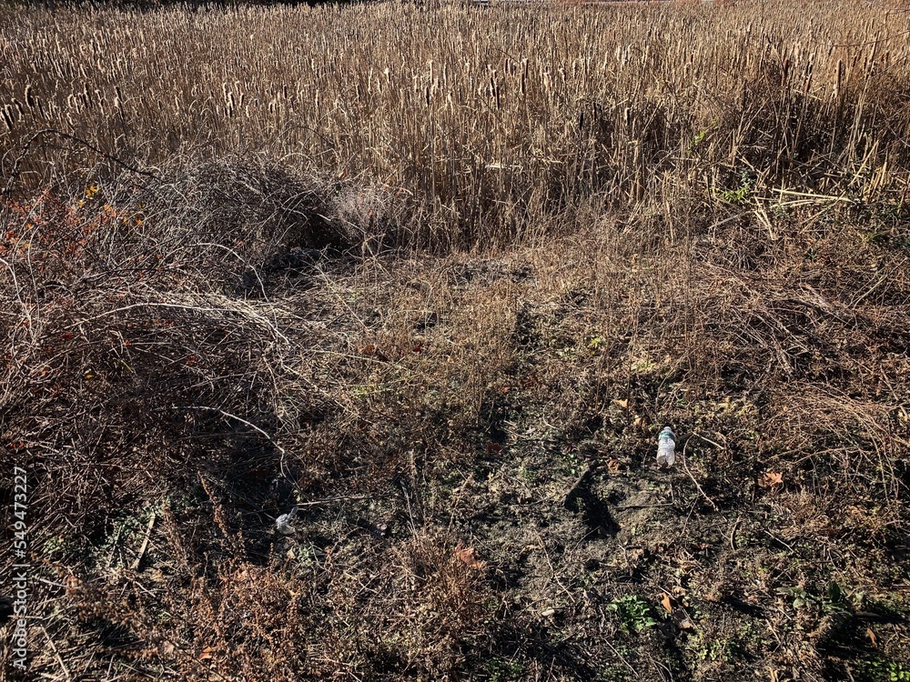 Full Long Shot Dry Grass Field with One Empty Disposable Clear Plastic Water Bottle Container Green Label Polluted Conservancy Garbage Rubbish. Highlighting the worldwide crisis of plastic pollution Full Long Shot Dry Grass Field with One Empty Disposable Clear Plastic Water Bottle Container Green Label Polluted Conservancy Garbage Rubbish. Highlighting the worldwide crisis of plastic pollution