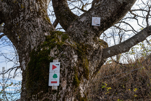 Plettenberg Alb im Herbst photo