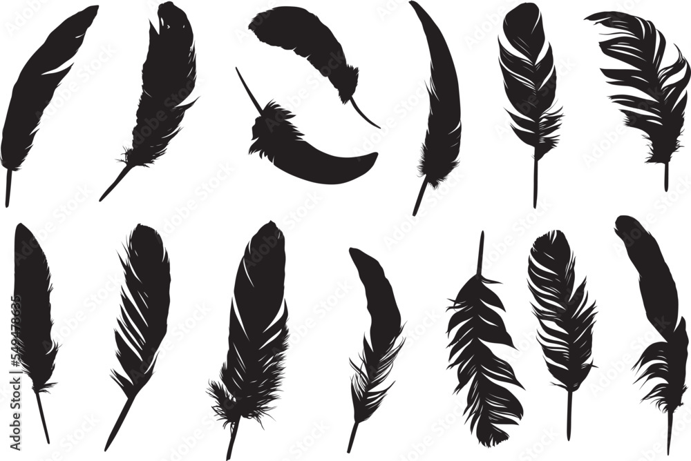 Feather bird animal clip art silhouette