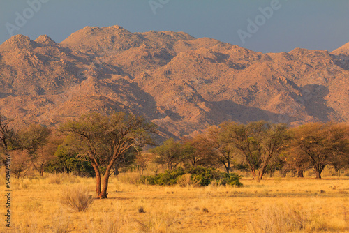 African savannah during a hot day. Solitaire, Namibia. © Tomasz Wozniak