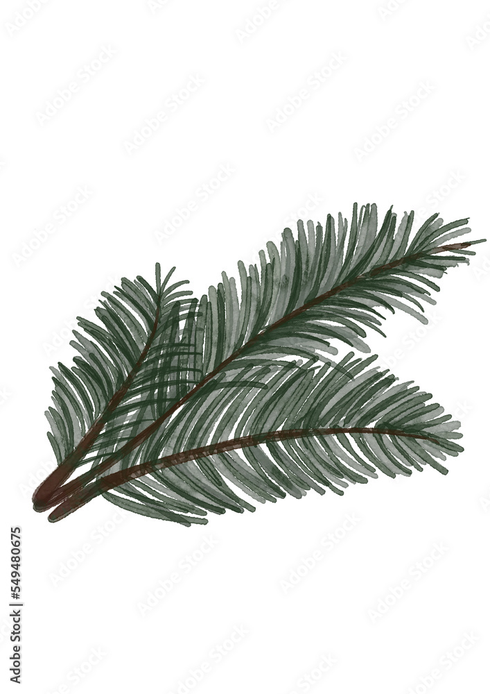 Christmas tree watercolor branch. Happy New Year. Christmas tree watercolor branch. Happy New Year.