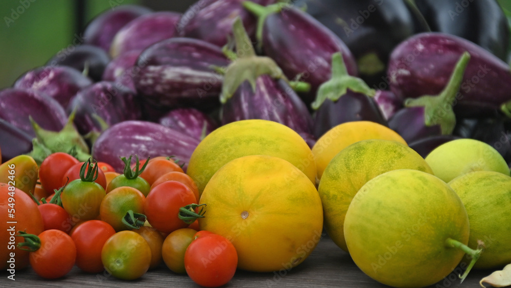Freshly harvested mixed vegetables arranged on a table.  Tomatoes, Yellow cucumber and Eggplants arranged on a table