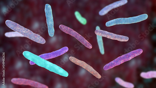 Bacteria Mycobacterium tuberculosis, the causative agent of tuberculosis photo