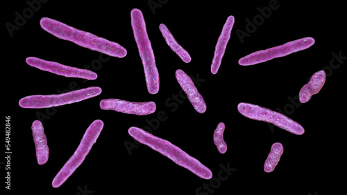 Bacteria Mycobacterium bovis, illustration