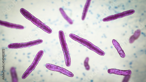 Bacteria Mycobacterium bovis, illustration photo