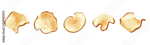 Apple fruit chips dry crips slice. Organic food baked delicious. Vector illustration
