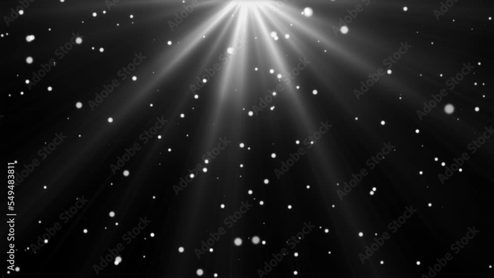 Winter snow - snowfall animation on black background, snowflakes bokeh - seamless loop - christmas and vacation concept Winter snow - snowfall animation on black background, snowflakes bokeh - seamless loop - christmas and vacation concept