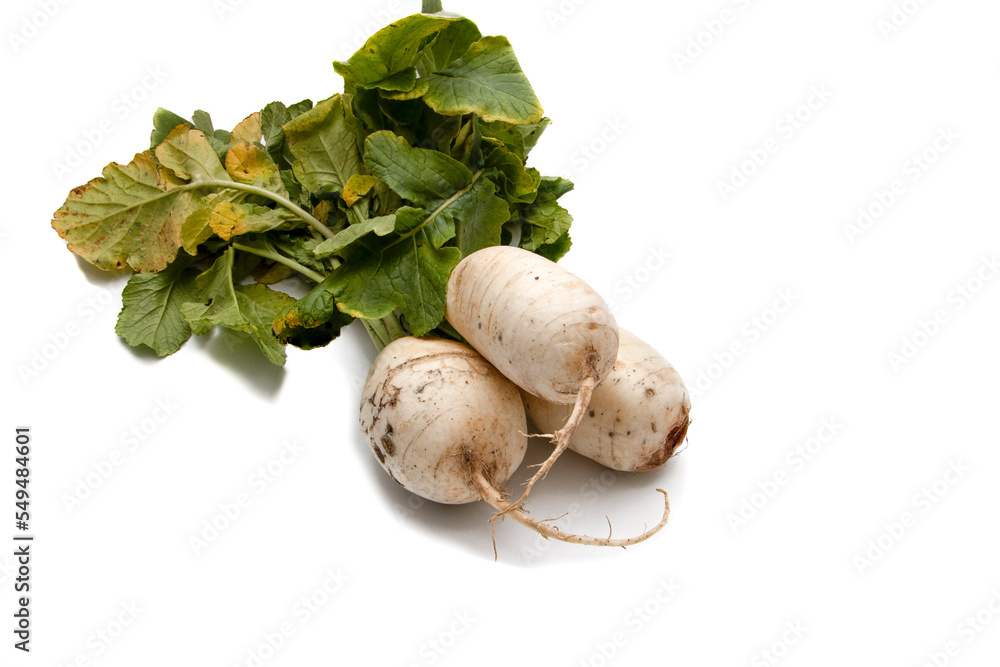Turnips isolated on white background. The turnip (Brassica rapa rapa