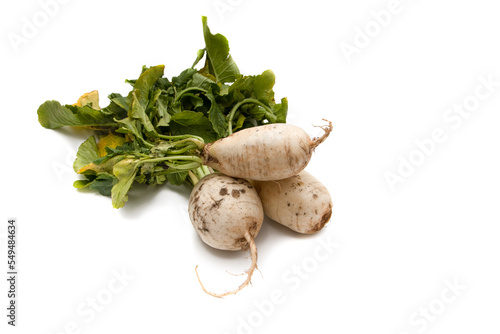 Turnips isolated on white background. The turnip (Brassica rapa rapa), also called cabbage, white radish, is an edible plant grown mainly in temperate climates, as livestock feed and human consumption