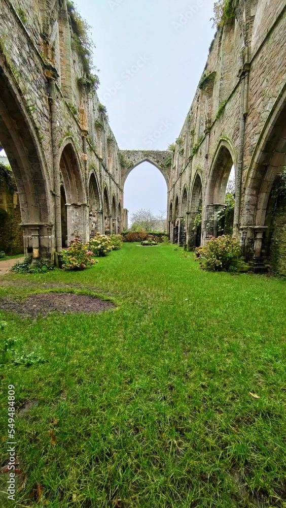 PAIMPOL  - Abbaye de Beauport - (Côtes d'Armor)