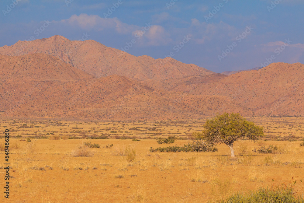 African landscape, savannah during a hot day. Solitaire, Namibia.