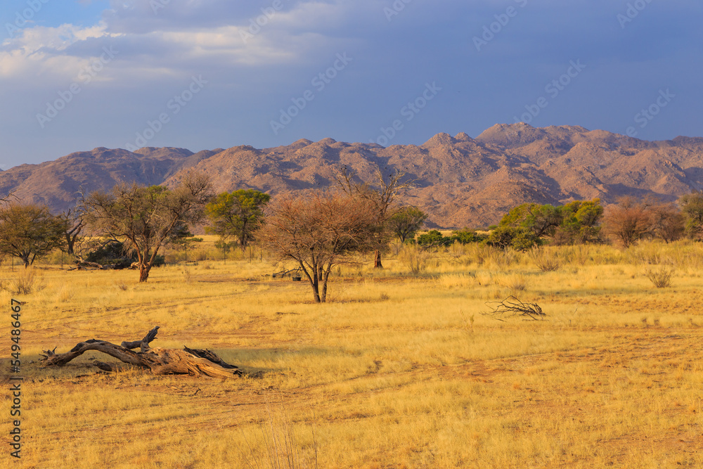 Fototapeta premium African landscape, savannah during a hot day. Solitaire, Namibia.
