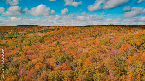 Bright colors of autumn. View above. East Hampton, Connecticut
