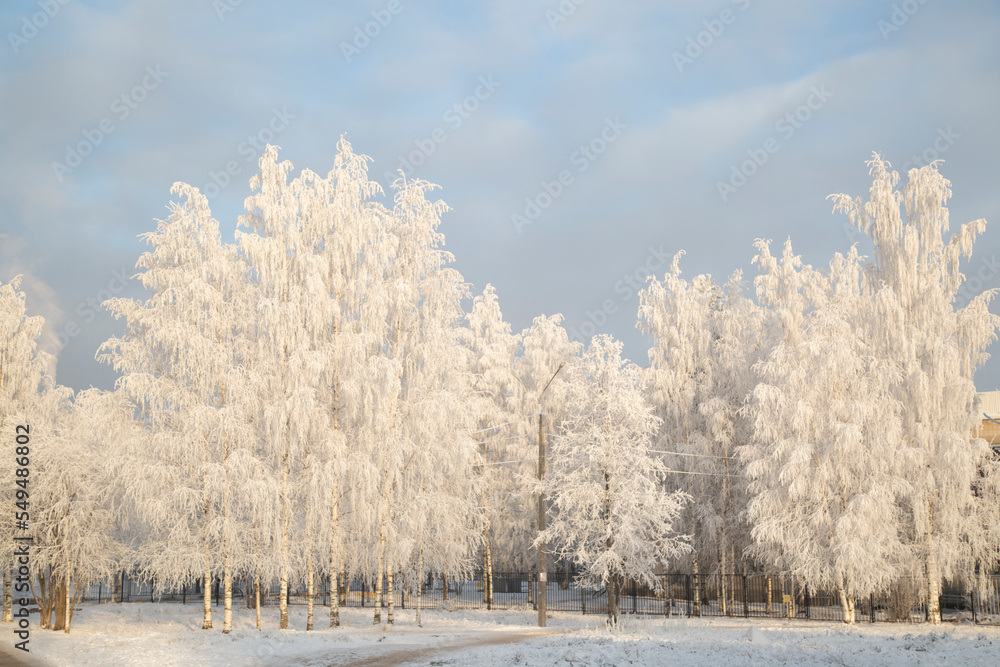 Frost on the trees in the city park.Snowfall in the city.The first snow.