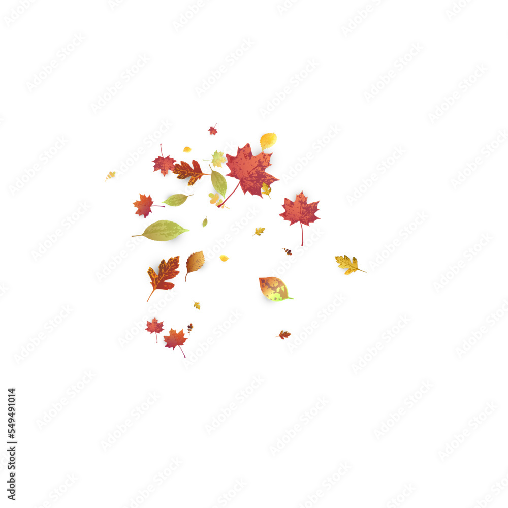 Leaves Falling Autumn Foliage Chaotic Leaf Flying Leaves Falling Autumn Foliage Chaotic Leaf Flying