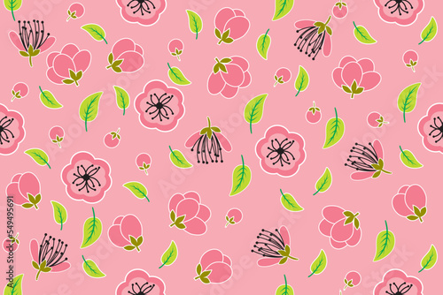 Illustration of the cherry bossoms flower with leaf on pink background. photo