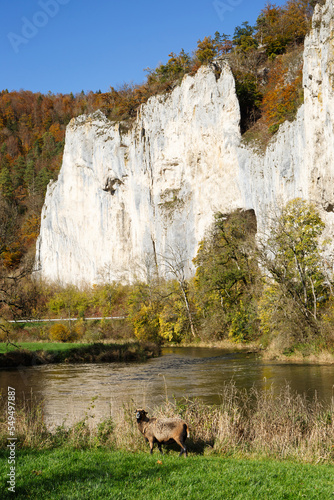 Naturpark Obere Donau im Landkreis Sigmaringen (Schwäbische Alb) photo